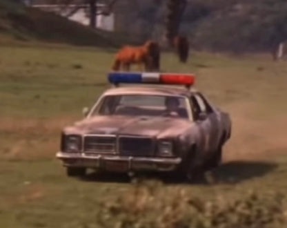 1:64 CAMOUFLAGE 1978 DODGE MONACO HAZZARD COUNTY SHERIFF Discontinued by manufacturer — final inventory!