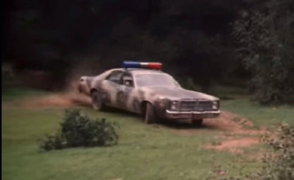 1:64 CAMOUFLAGE 1978 DODGE MONACO HAZZARD COUNTY SHERIFF Discontinued by manufacturer — final inventory!